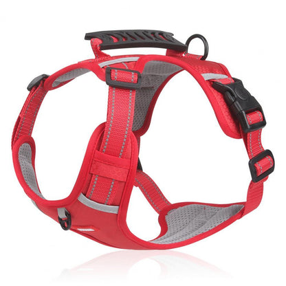 Reflective no-pull dog harness.