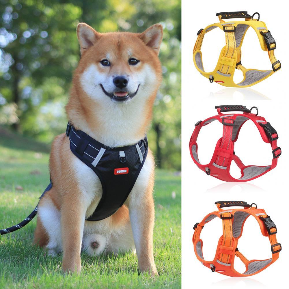 Reflective no-pull dog harness.