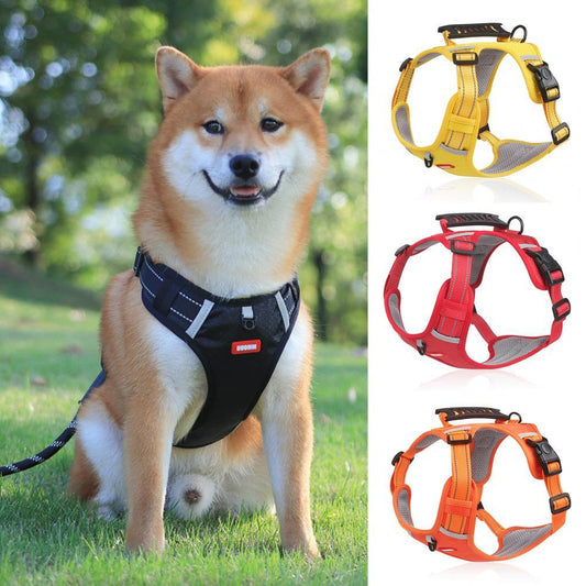 Reflective no-pull dog harness.