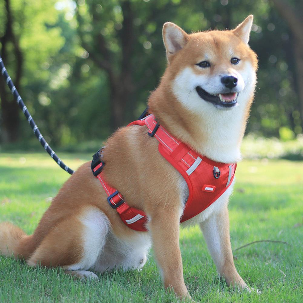 Reflective no-pull dog harness.
