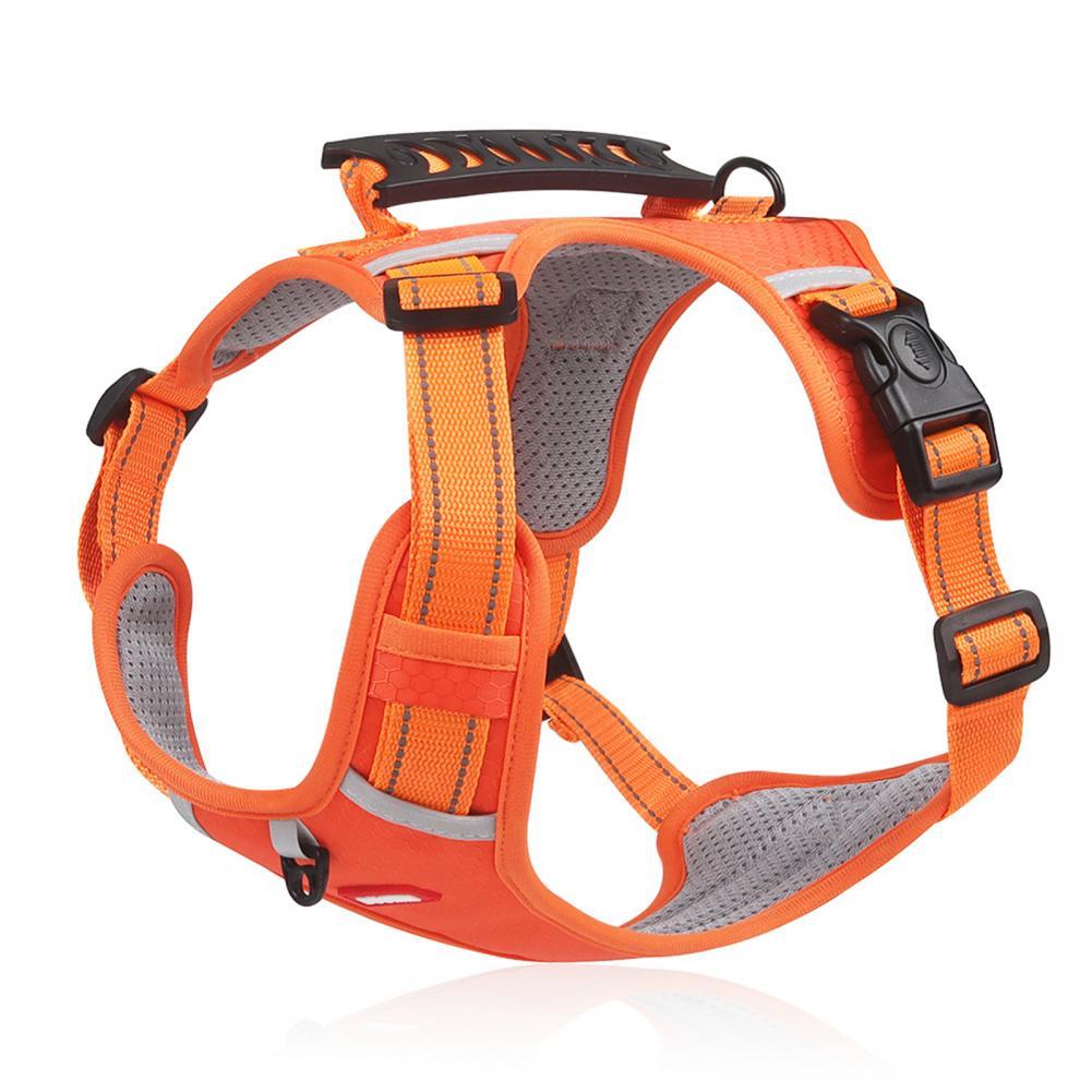 Reflective no-pull dog harness.